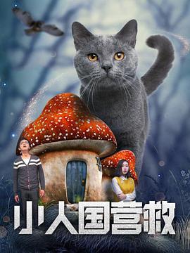 婷婷免费高清视频在线观看